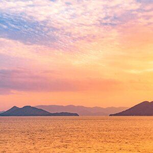 Profile (Not for Sale)